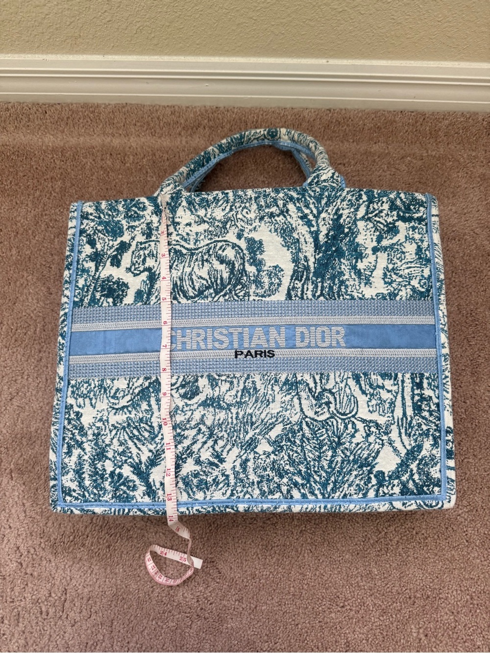 Dior Blue Toile de Jouy Book Tote - Picture 5 of 7